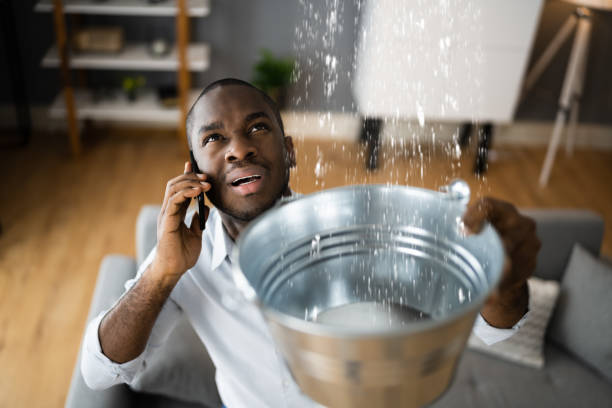 Best Mold removal after water damage  in Decatur, AL