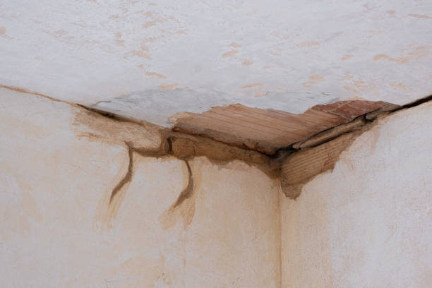 Water damage restoration experts in AL