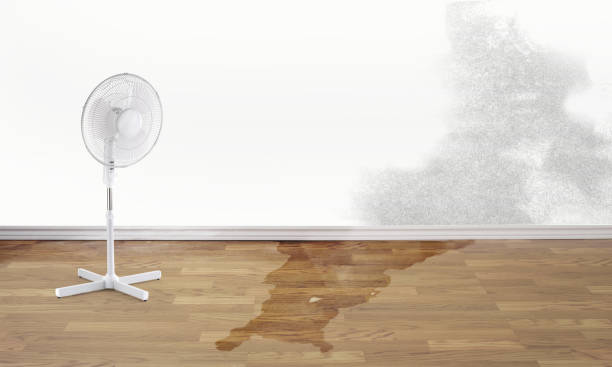 Best Water damage restoration experts  in Decatur, AL