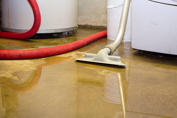 Best Professional water damage repair  in Decatur, AL