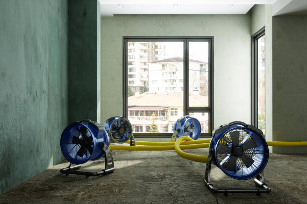 Best Water damage restoration near me  in Decatur, AL